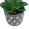 Artificial Succulent Plant in Pot