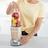 Immersion Blender