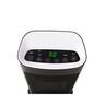 Ceramic Heater