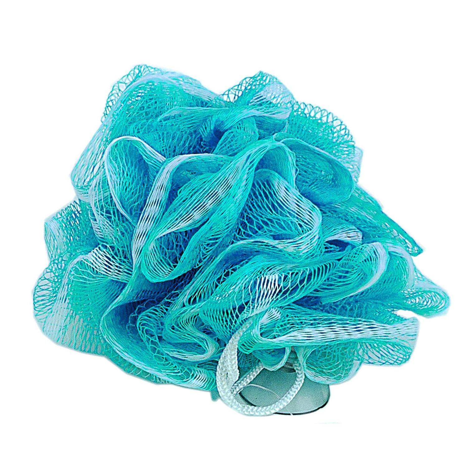 Bath Sponge