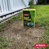 Yates Lawn Seed'n'Feed 1kg