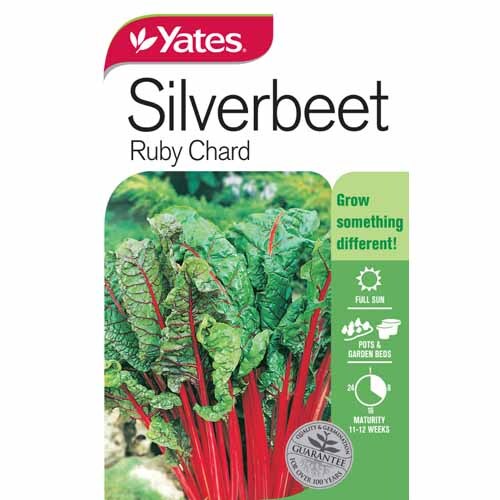 Silverbeet 'Ruby Chard'