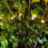 Firefly Solar Lights 2 Pack
