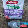 Camellia, Gardenia & Blueberry Fertiliser Granules