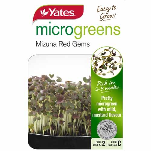 Seed Mizuna Red Gems Microgreens