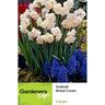 Daffodil Bridal Crown 5 pack