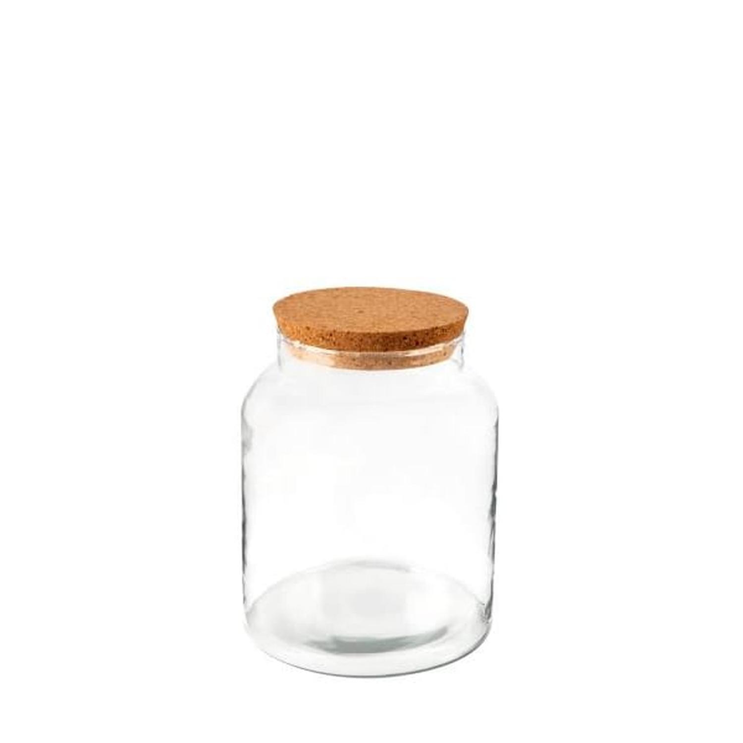 TERRARIUM GLASS JAR