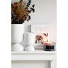 Candle Scented Luxe Glass W/Lid 8.2cm
