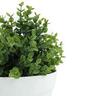 Artificial Eucalyptus Plant in Pot 16cm