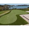 True Putt Putting Artificial Grass P/M 13mm x 3700mm wide Green