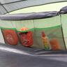 Swift 4 Person Air Tent