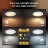 Hue Downlight Akari