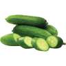 Cucumber Picolino Mini