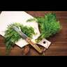 Dill