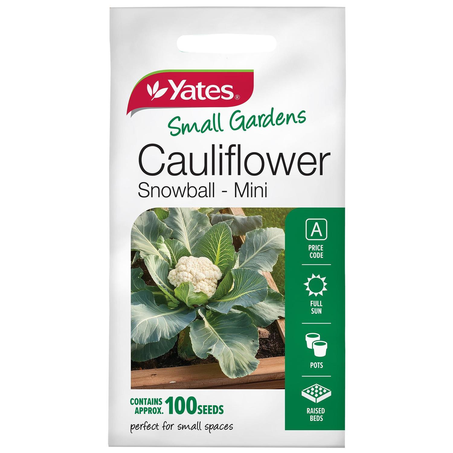 Vegetable Seed Cauliflower Snowball Mini