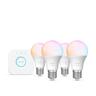 Starter Kit Bridge and 4 Essential Bulbs 7.5 Watts Colour