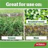 Rapid Weedkiller Concentrate