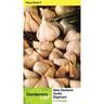 Elephant Garlic