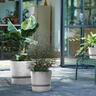 Plastic Round Pot with Saucer Grey 30cm