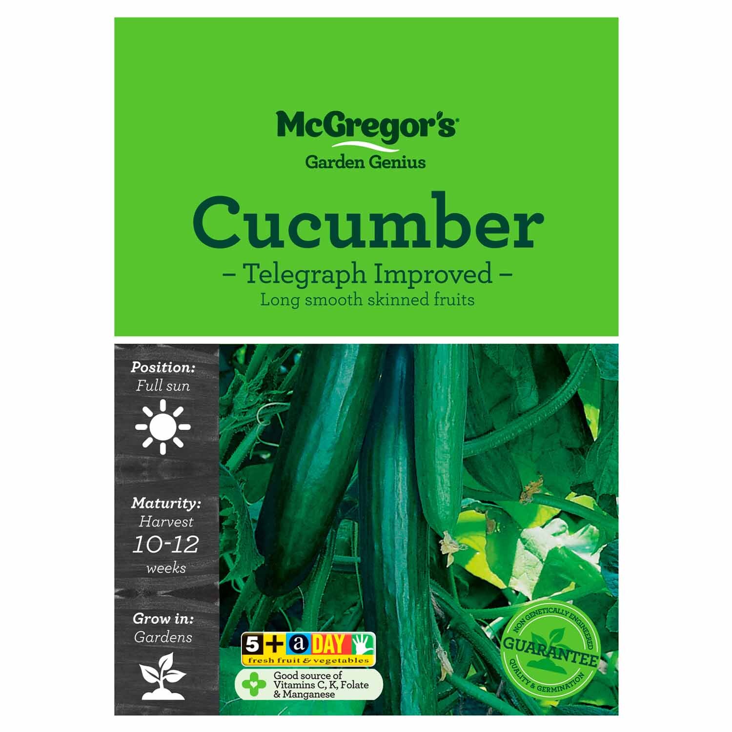 Telegraph Cucumber  Vegetable Seed