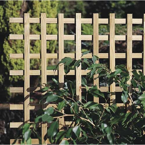 Unframed Square Trellis