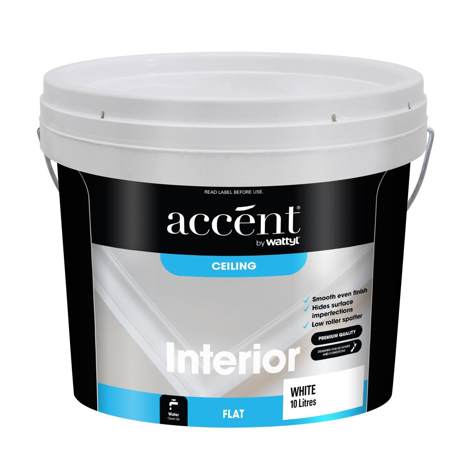 Ceiling Paint Flat