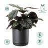 Recycled Plastic Cleo Pot 15cm Charcoal  Charcoal
