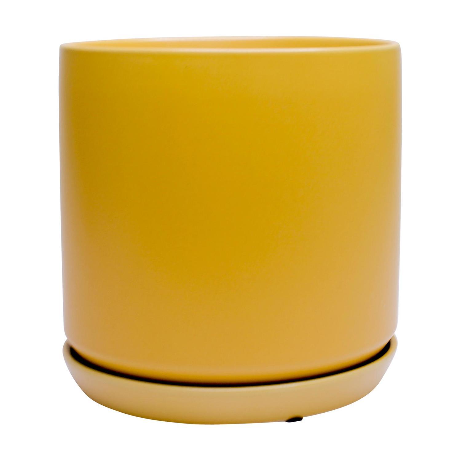 Indoor Adelle Pot and Saucer 6cm Mustard