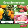 Conqueror Organic Spraying Oil