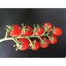 Tomato Berry Tom