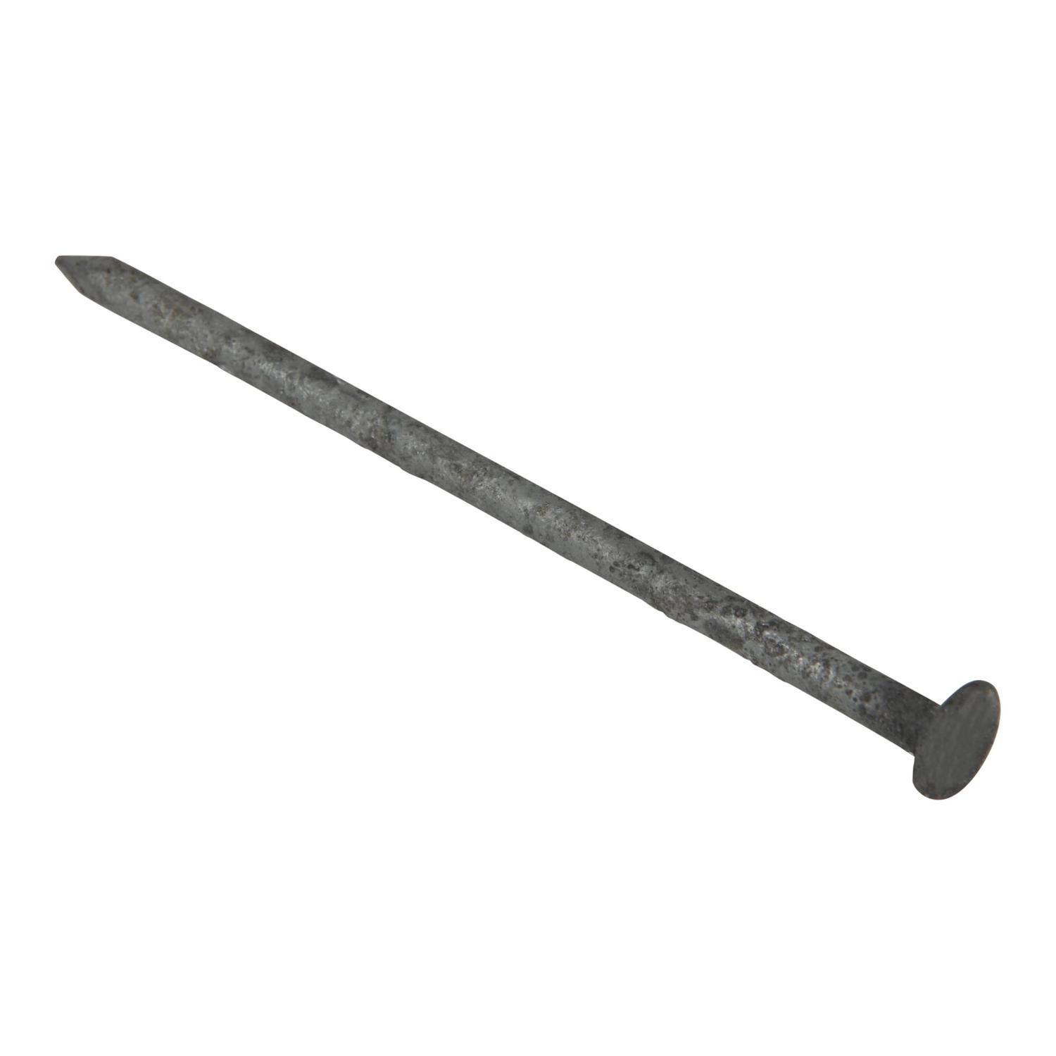 Galvanised Nail  75 x 3.15mm