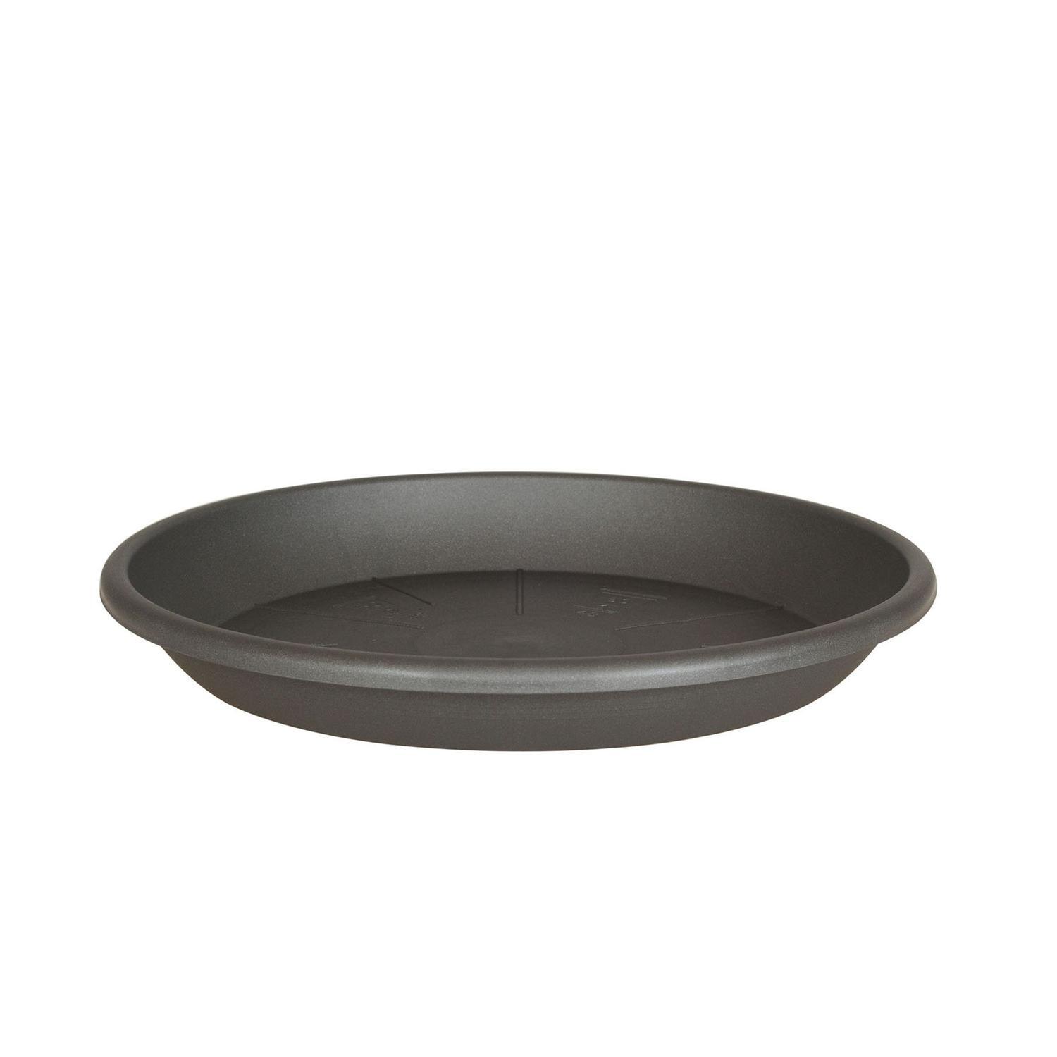 Medea Saucer