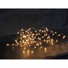 Solar 100 LED Seed Lights