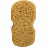 Car Wash Sponge H: 65mm, W: 110mm, L: 210mm Brown