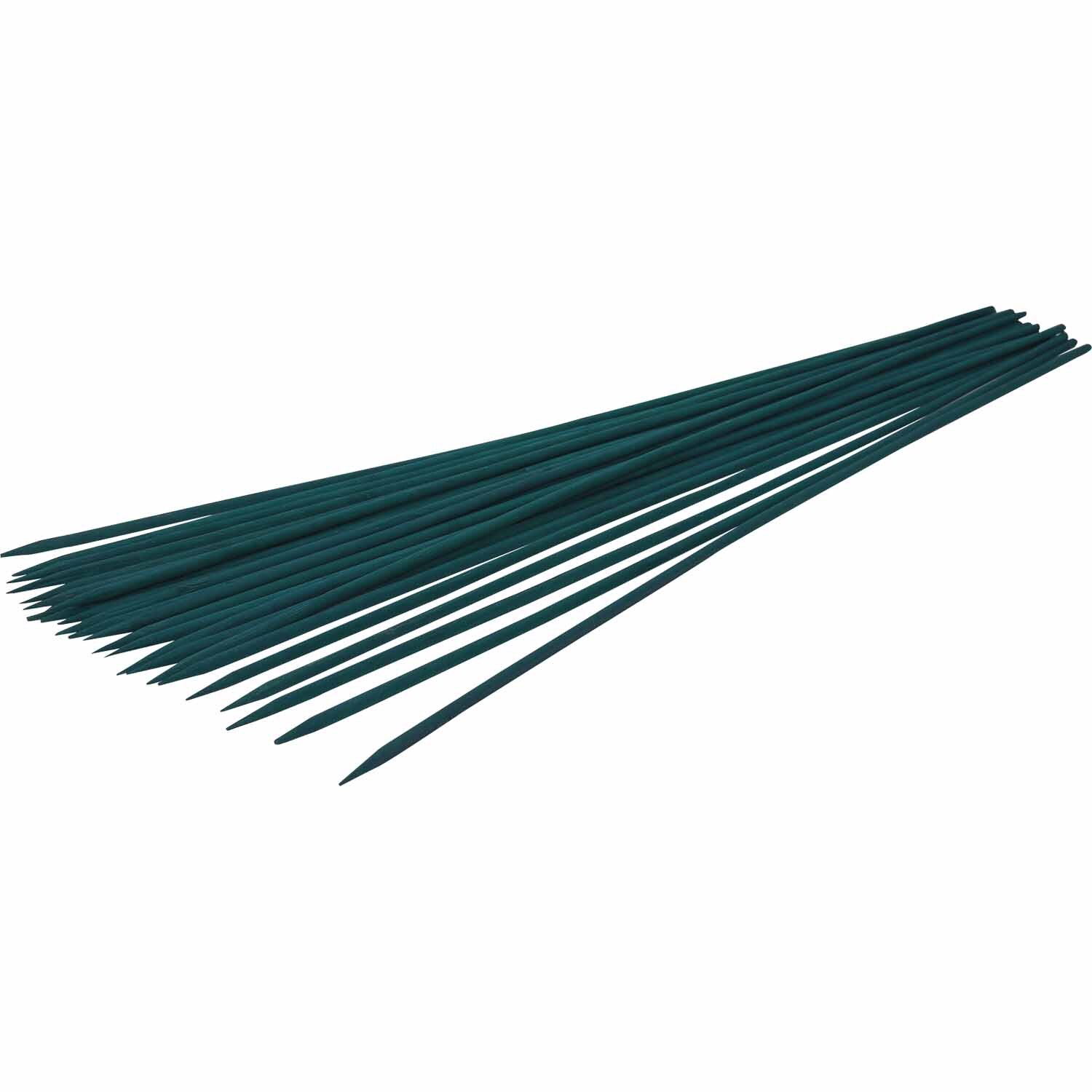 House Plant Sticks