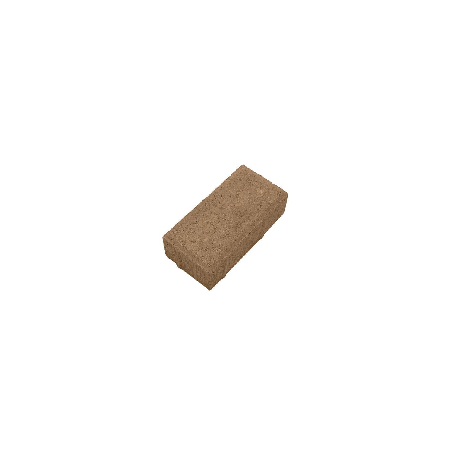 Concrete Paver L: 200mm, W: 100mm, D: 60mm Terracotta