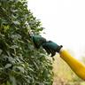 3.6 Volt Cordless Compact Hedge, Shrub Blade 120mm (Isio 3)
