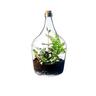 TERRARIUM GLASS BOTTLE