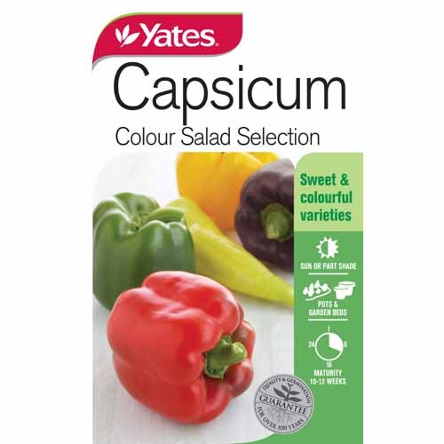 Capsicum 'Colour Salad Selection'