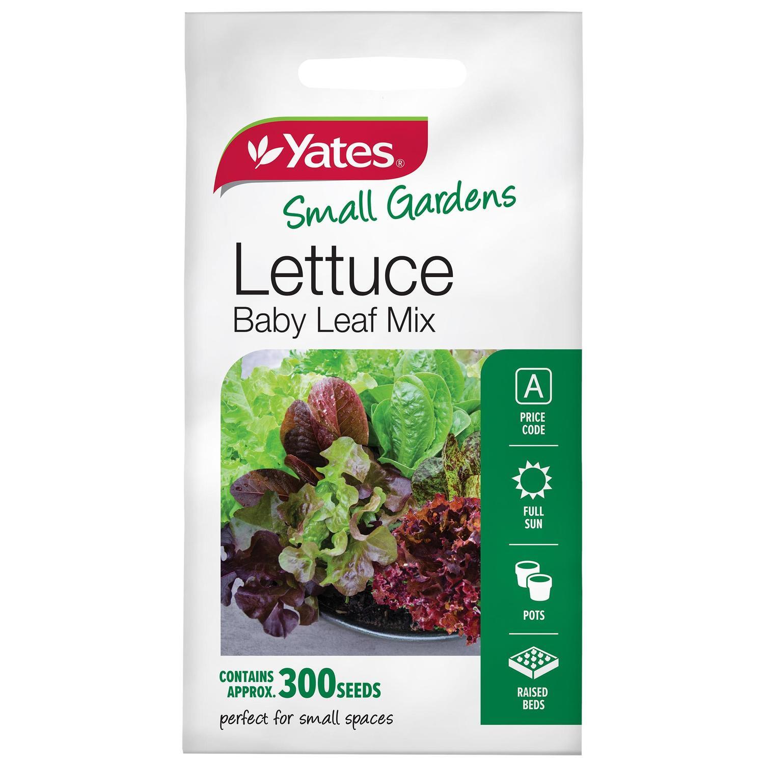 Vegetable Seed Lettuce Baby Leaf Mix