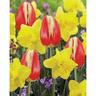 Spring Collection Lemon Beauty Mix 10 Pack
