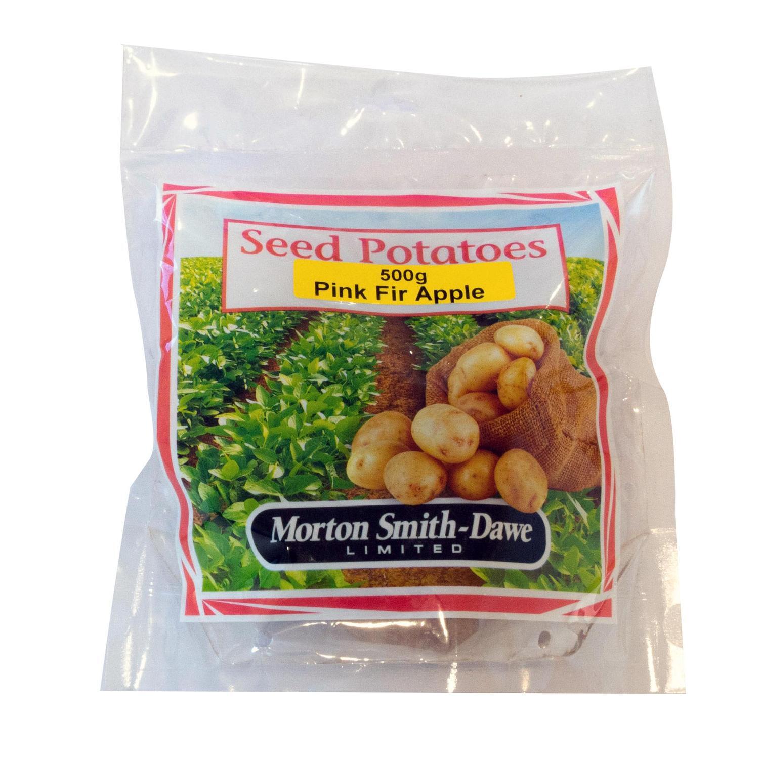 Pink Fir Apple Seed Potatoes