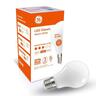 LED Classic Opal Glass GLS