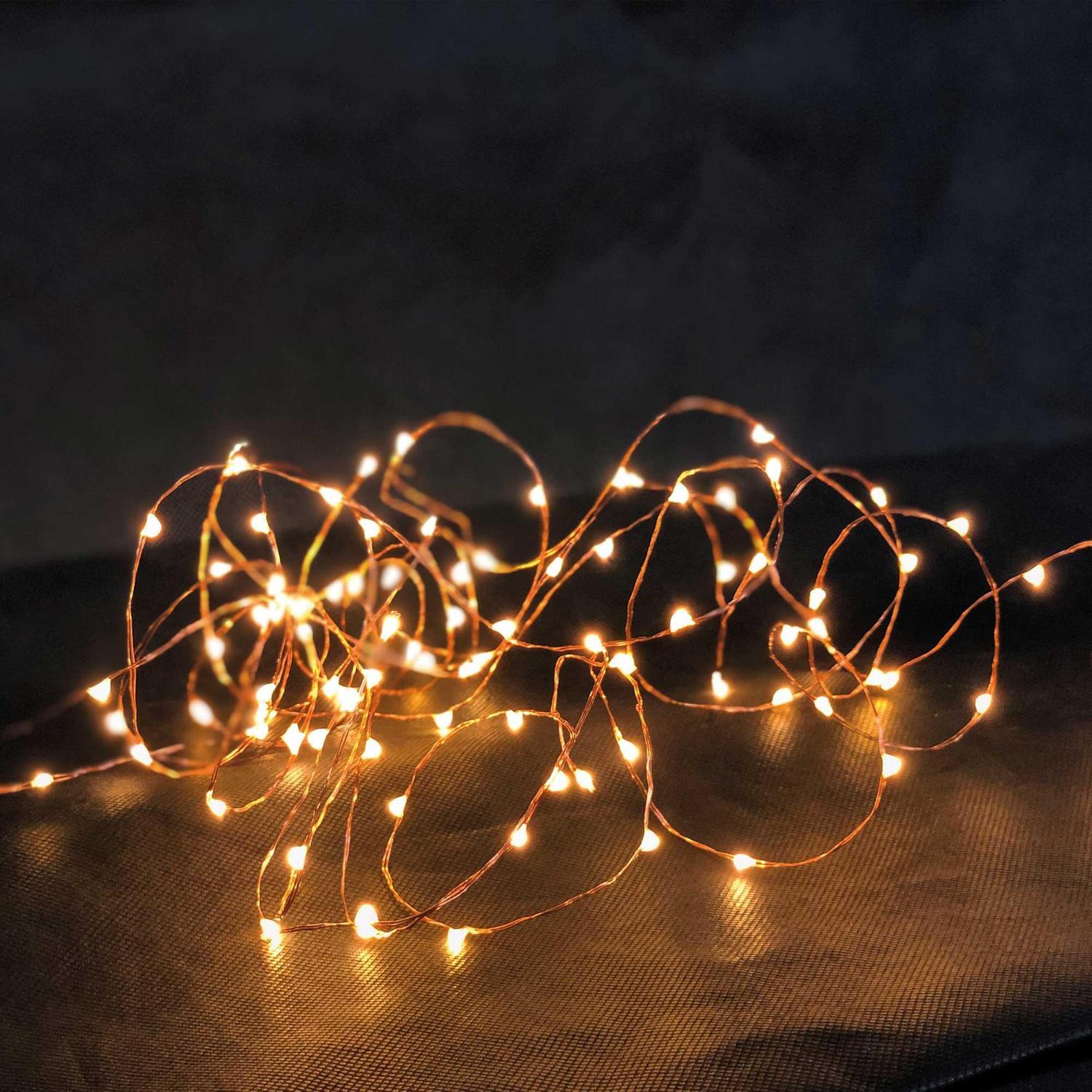 100 Seed Lights