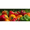 Capsicum Traffic Light