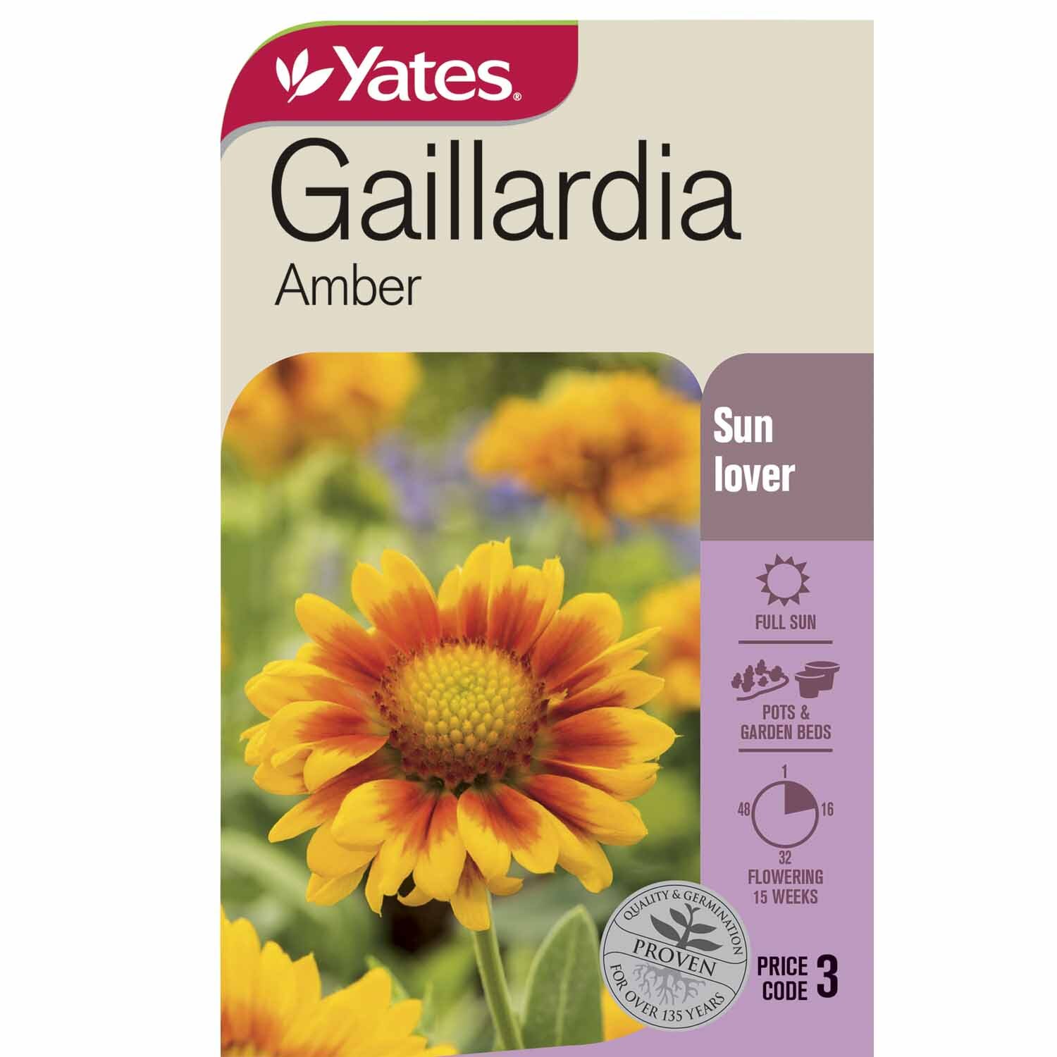 Gaillardia Amber