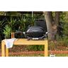 Q 2000N BBQ