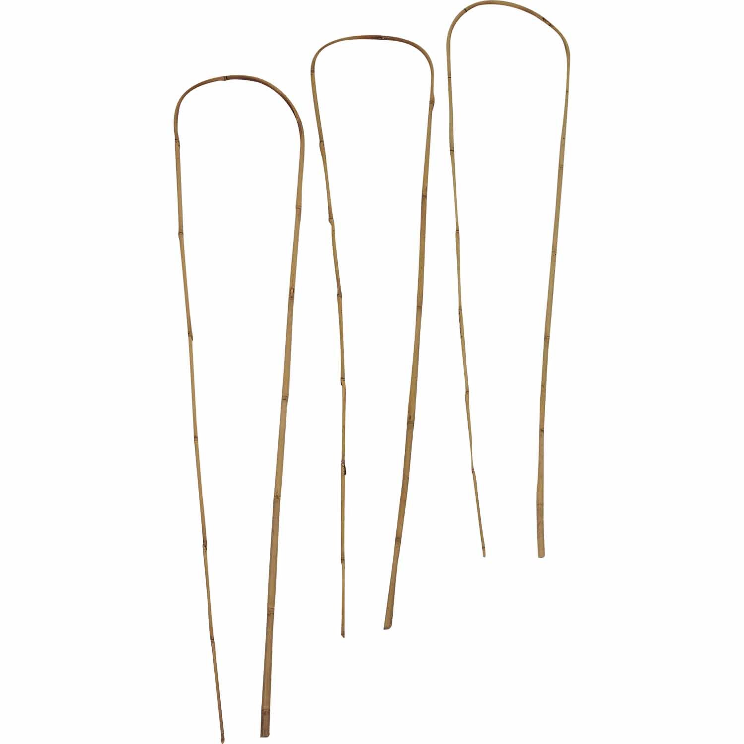 Bamboo Hoop Plant Support