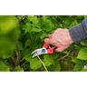 Large Right-Handed Pruning Shears