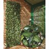 Expanding Trellis
